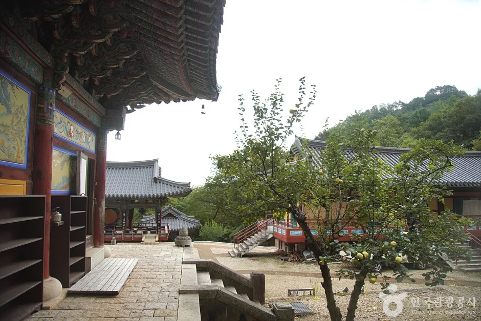 천은사(삼척) (17)