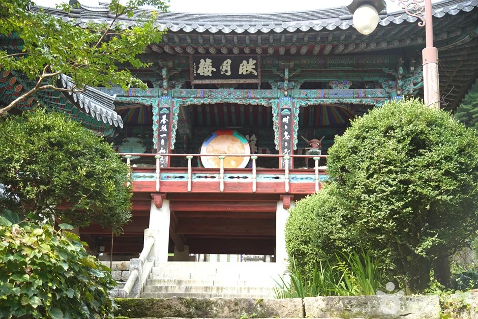 천은사(삼척) (25)