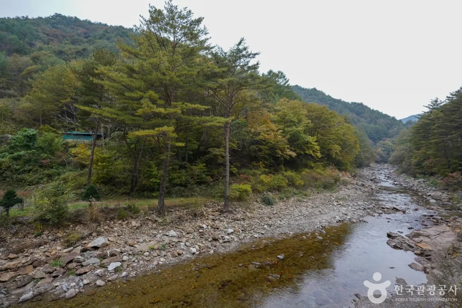 경북_봉화_구마계곡(고선계곡) (4)