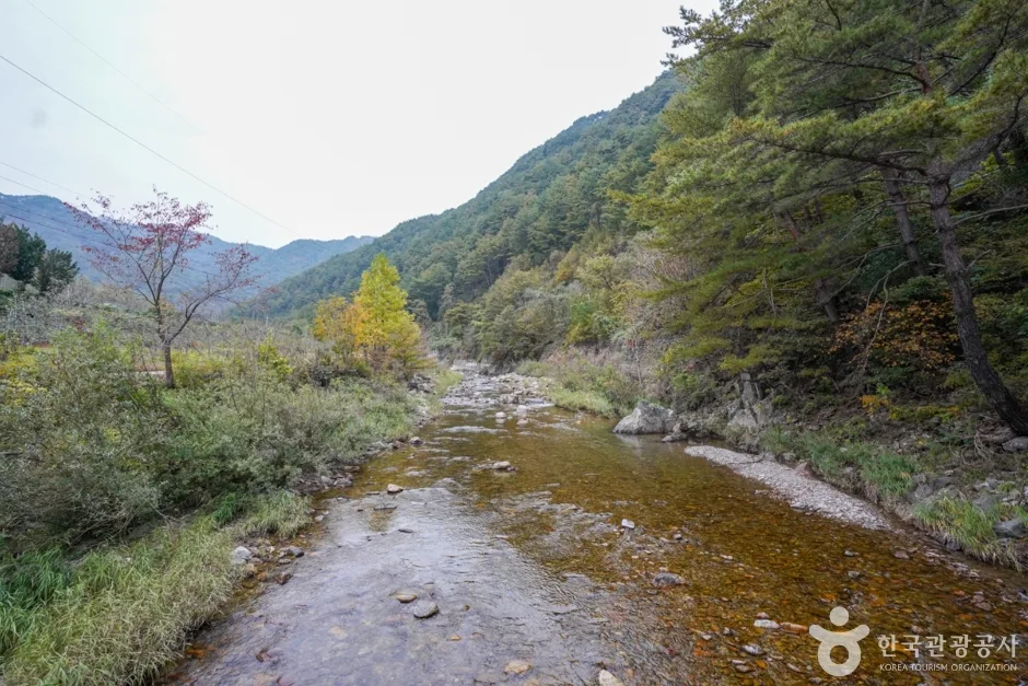 고선계곡(구마계곡)