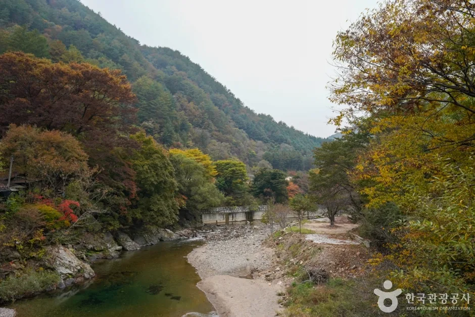 경북_봉화_구마계곡(고선계곡) (6)