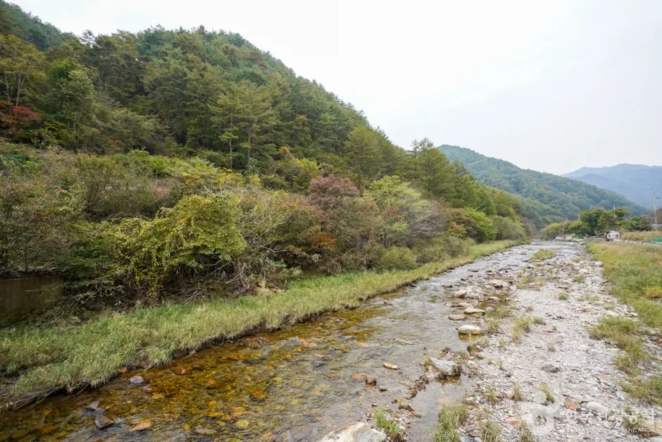 경북_봉화_구마계곡(고선계곡) (1)