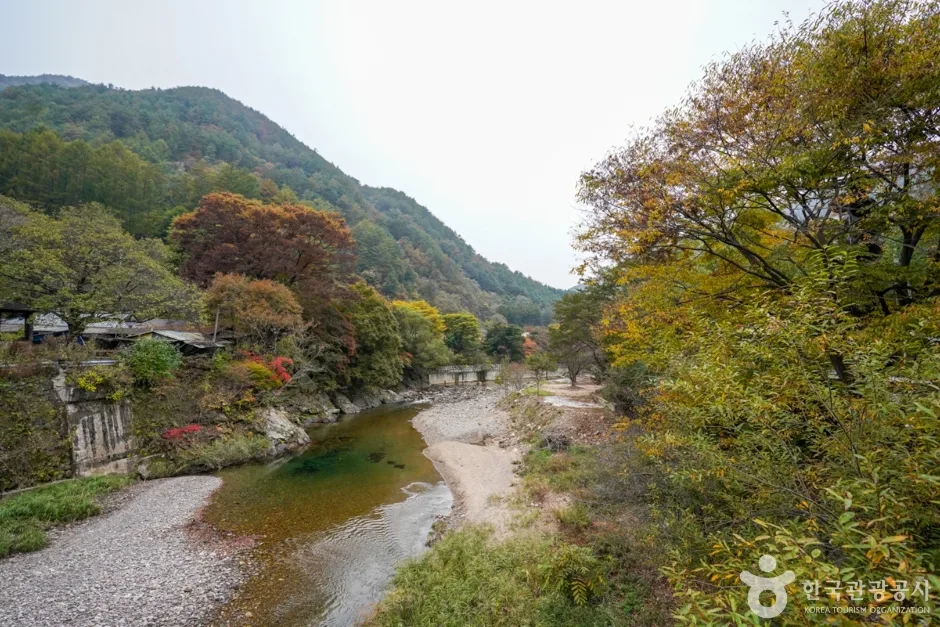 경북_봉화_구마계곡(고선계곡) (7)