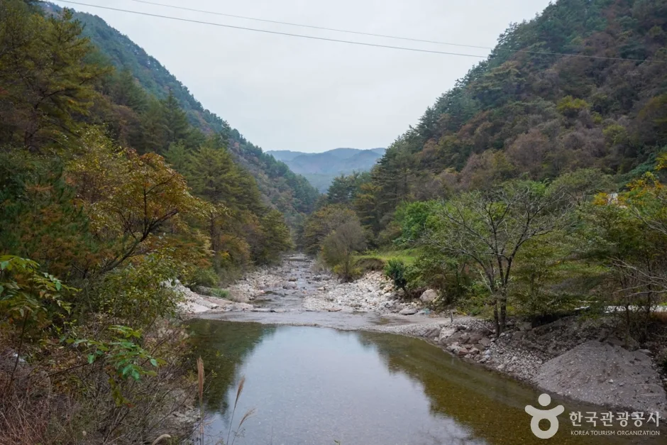 경북_봉화_구마계곡(고선계곡) (5)