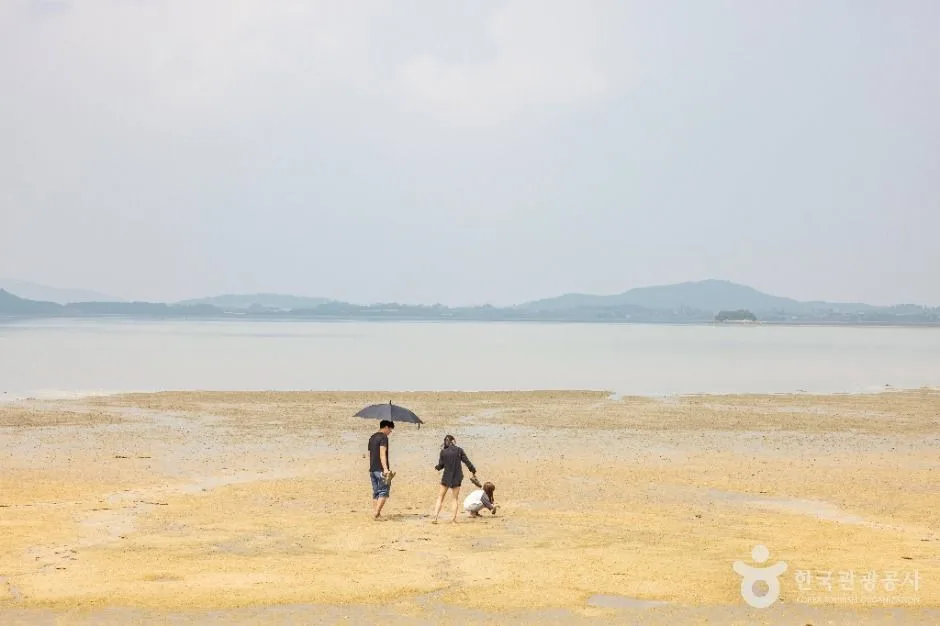 무안_홀통유원지·홀통해변 (7)