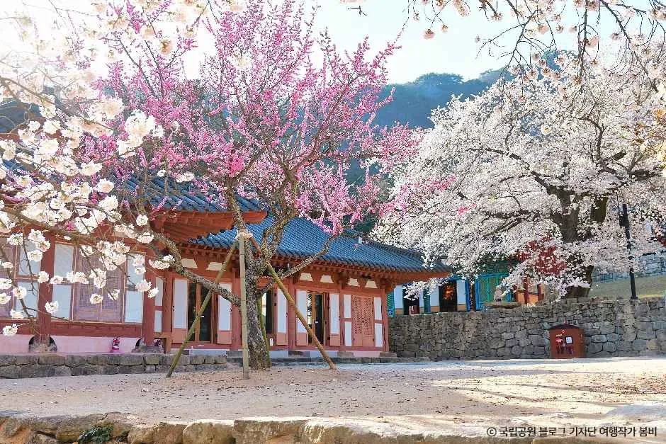 내소사(부안)