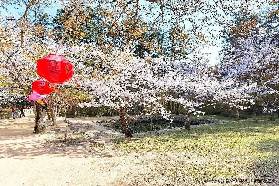 부안_내소사(부안)_ (6).jpg