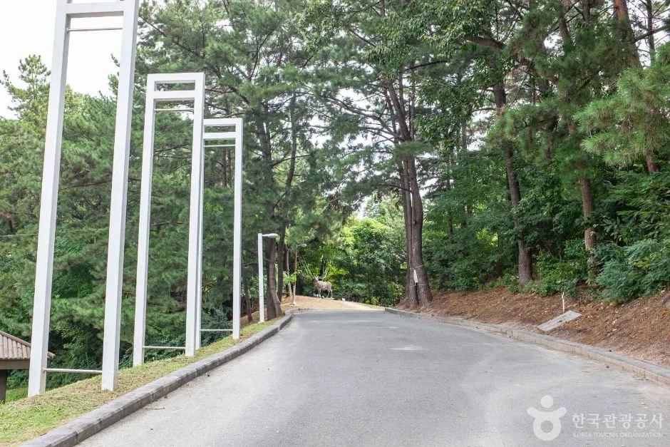 포항_포항시립미술관 (1)