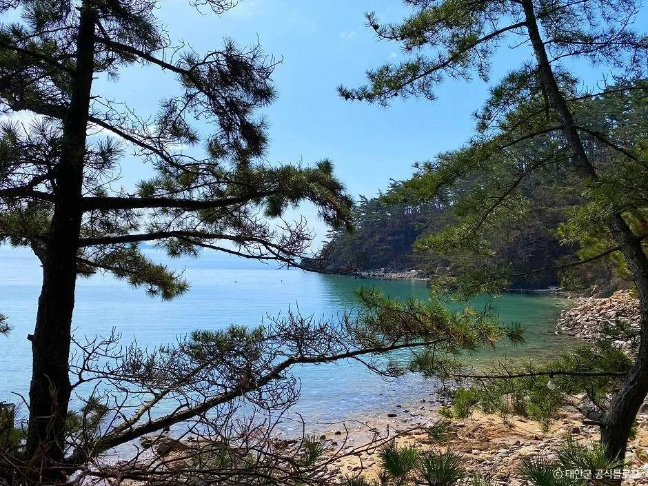 태안군_꾸지나무골해수욕장 (3).jpg