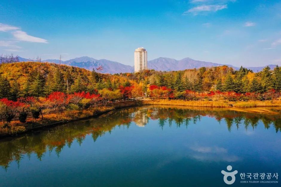 속초시_영랑호 (1).jpg