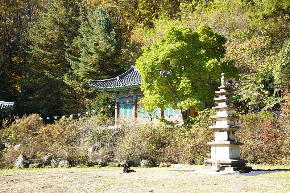 화악산 (7)
