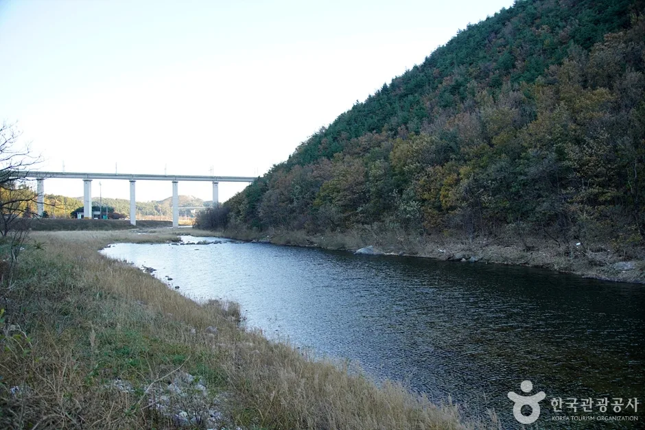 남대천(강릉) (4)