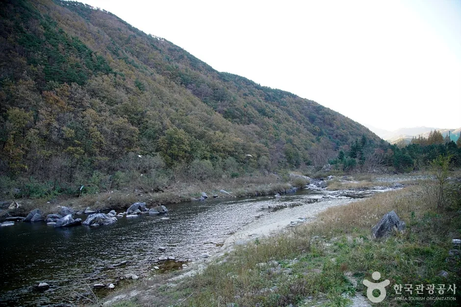 남대천(강릉) (3)