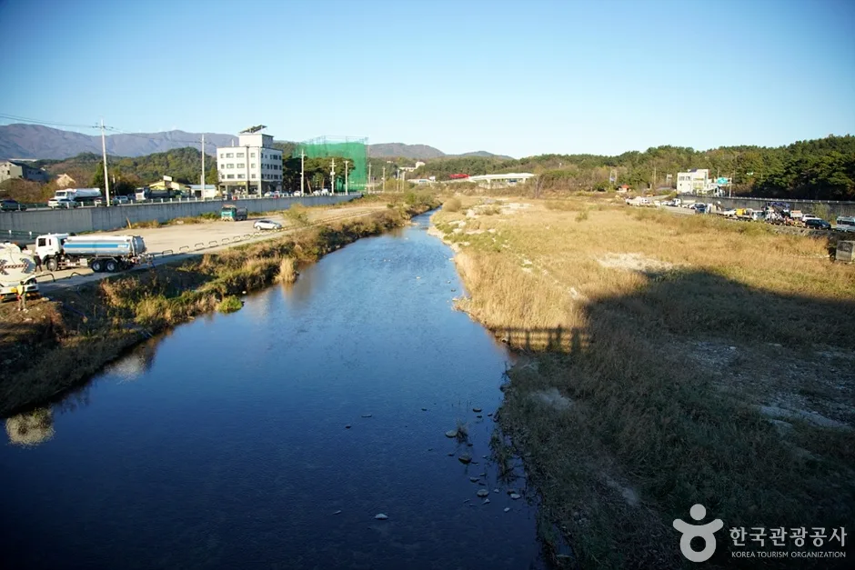남대천(강릉) (8)