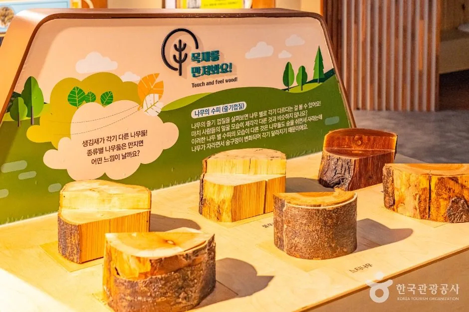 예천_예천 목재문화체험장 (9)
