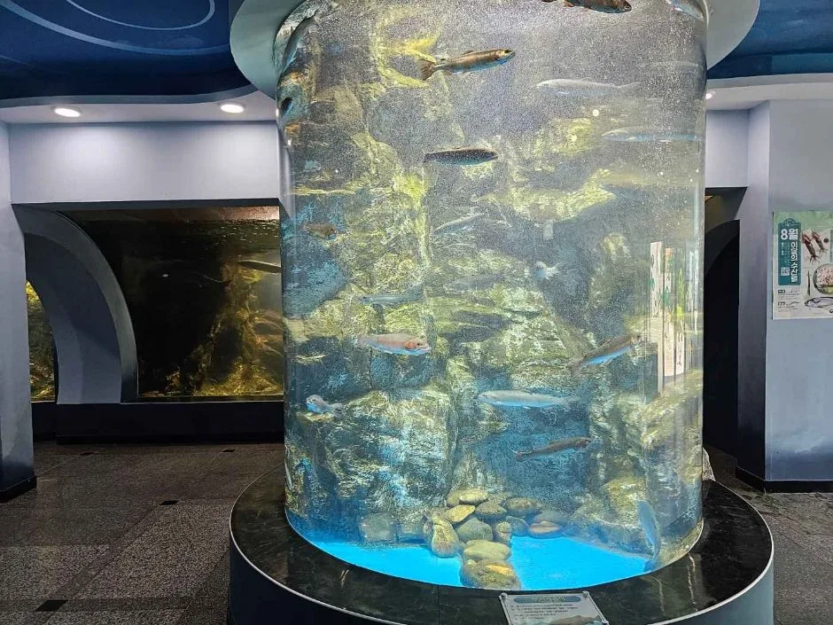 경기도해양수산자원연구소민물고기생태학습관_내부2