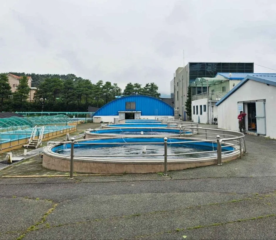 경기도해양수산자원연구소민물고기생태학습관_외부터치풀