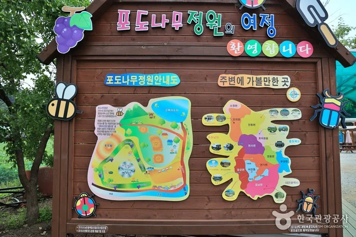 관광두레 세종 쌍류포도정원 기사 사진 13