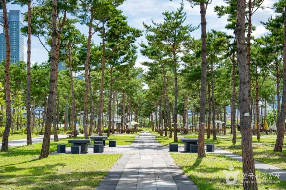 세종_세종중앙공원 (9)