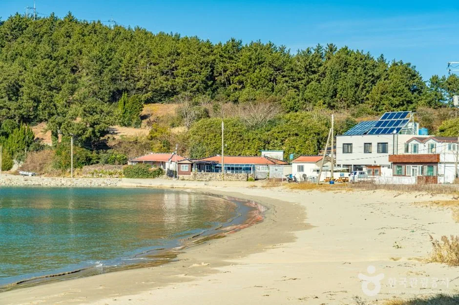 완도_지리청송해변 (8)