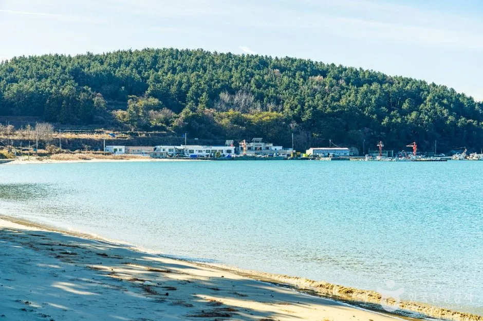 완도_지리청송해변 (5)