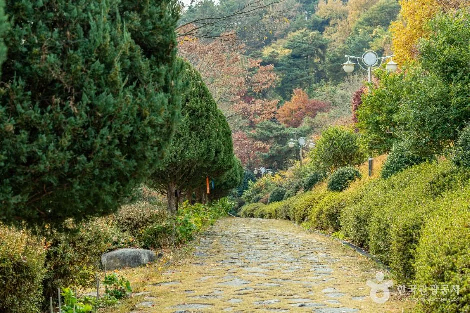 영광_백제불교최초도래지 (1)