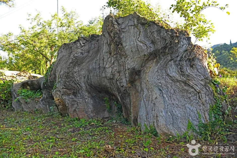 단양_삼태산 경관 (3)