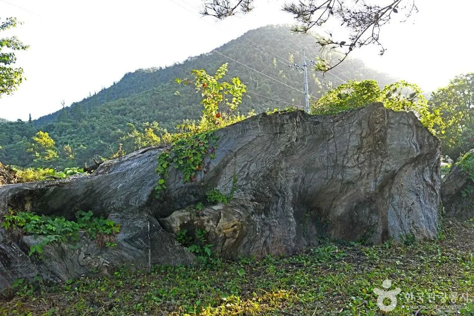 단양_삼태산 경관 (2)