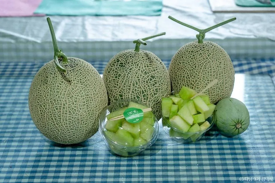 야미야미팜(야미야미팜농업회사법인(주))