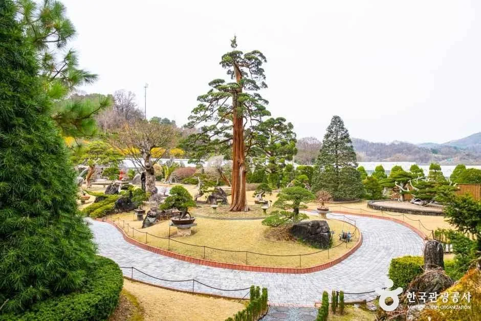 세종 아이와 가볼만한 곳_베어트리 파크_1-13