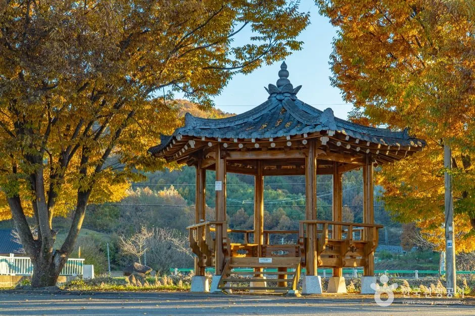 옥천군_팔음산마을 (7)