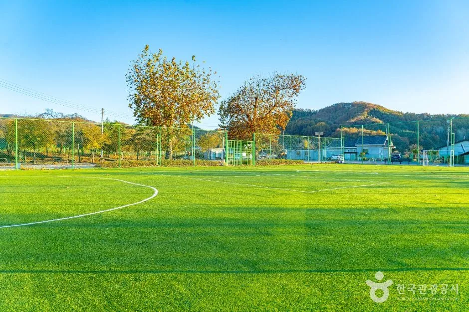 옥천군_팔음산마을 (6)