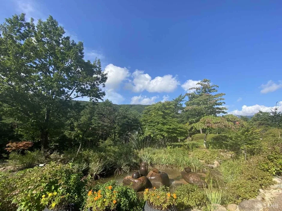 강원_속초_설악산 자생식물원 (13)