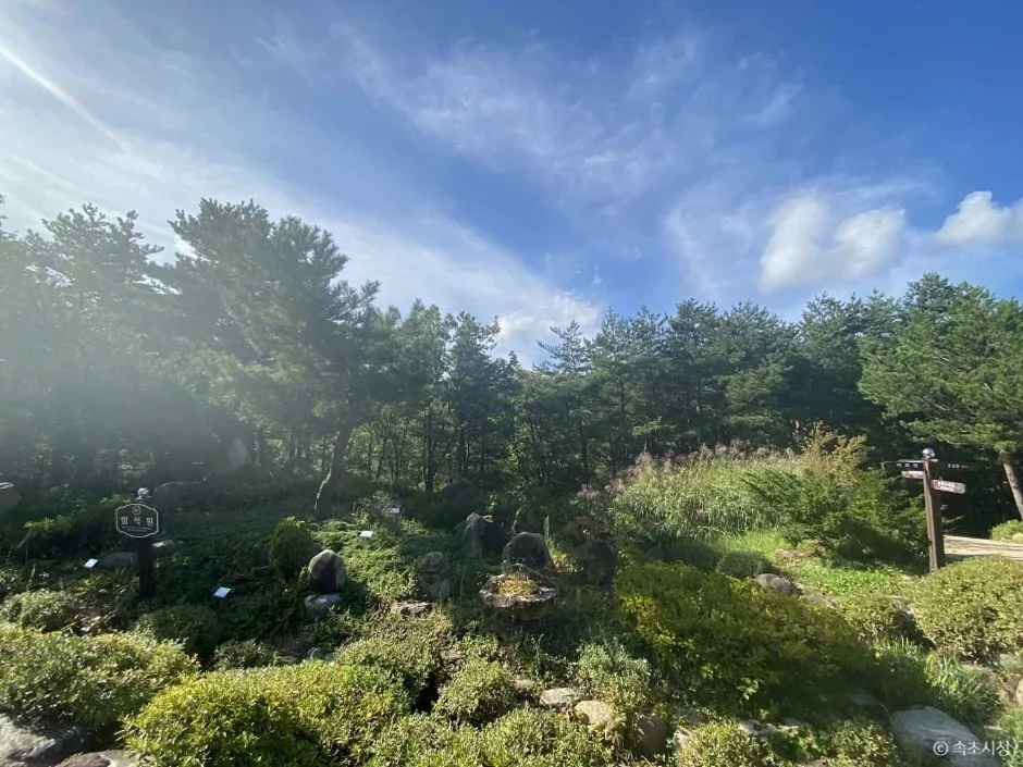 강원_속초_설악산 자생식물원 (14)