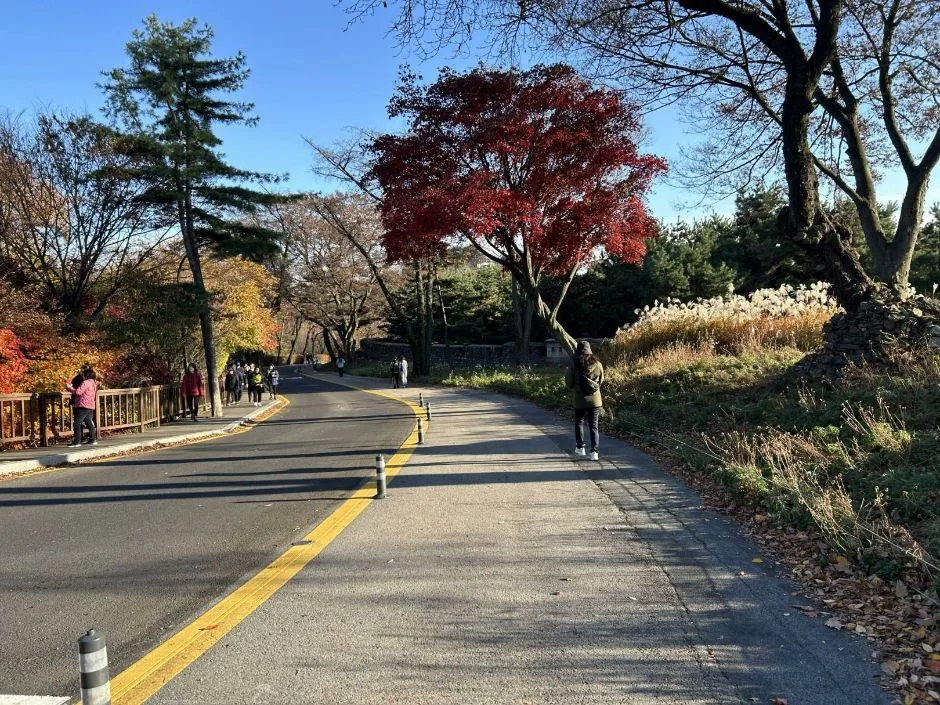 남산순환나들길 전망대 경사로