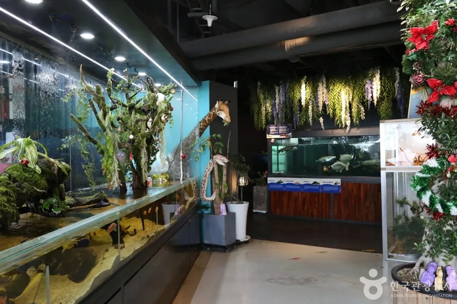 N00372_경기_김포_몬스터리움 (3)