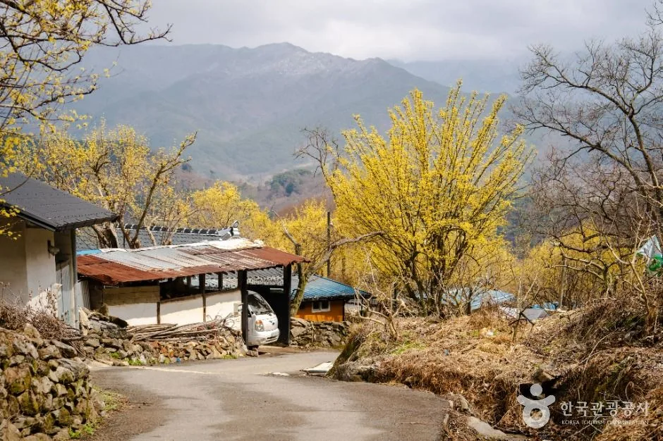 구례_현천마을 (3)