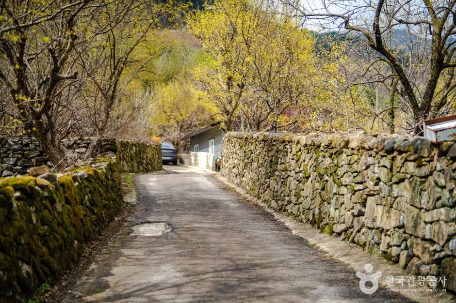 구례_현천마을 (2)