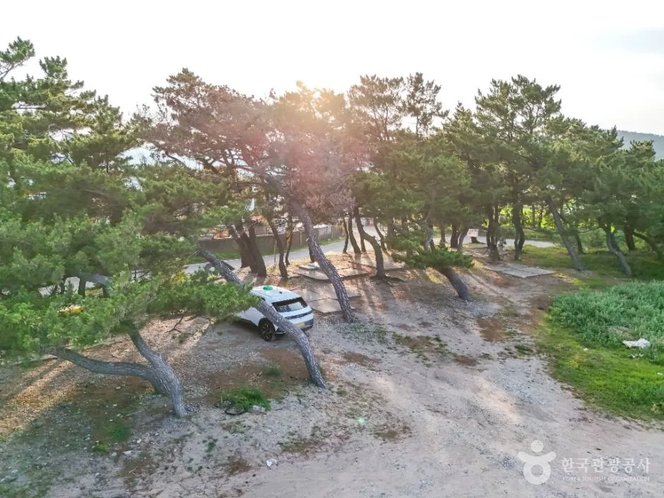 포항_조사리간이해수욕장 (3)