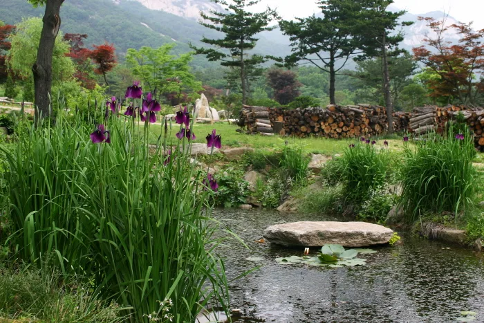 슬로우 슬로우~ 시원한 강바람을 맞으며 달리다.
