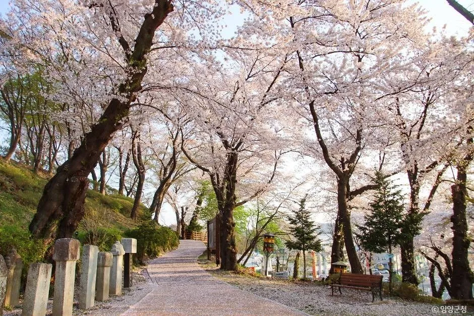 현산공원