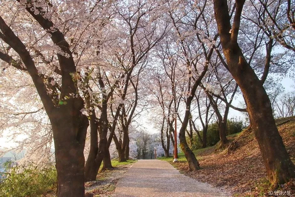 양양_현산공원 (5)