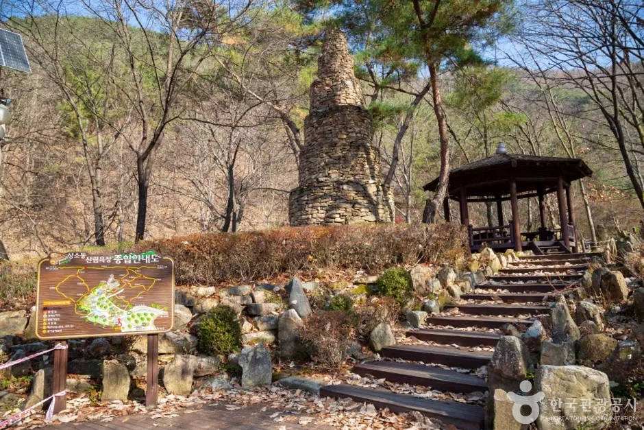 상소동 산림욕장 (3)