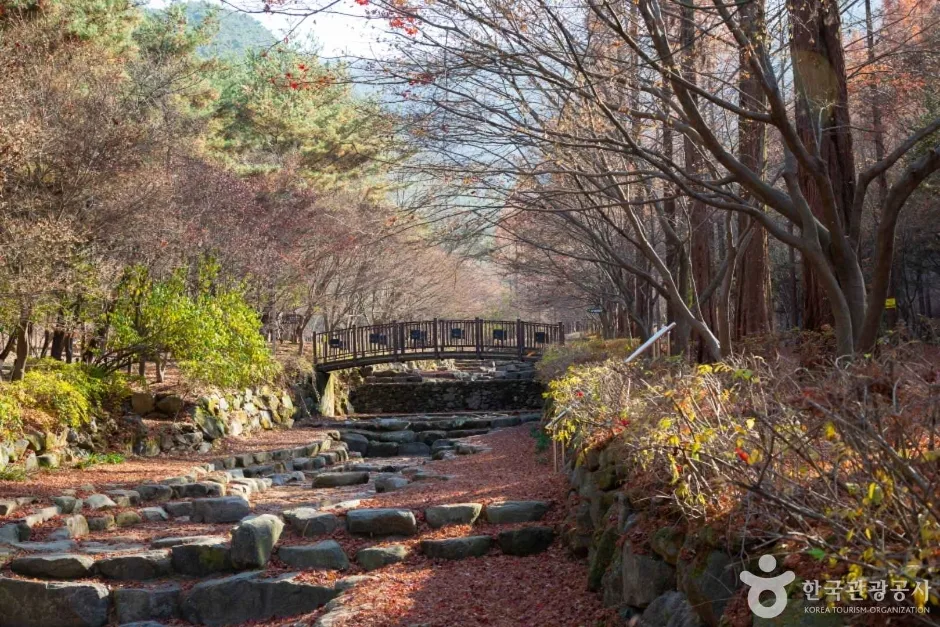 상소동 산림욕장 (5)