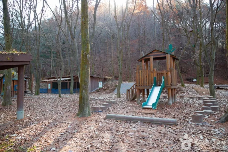 상소동 산림욕장 (11)