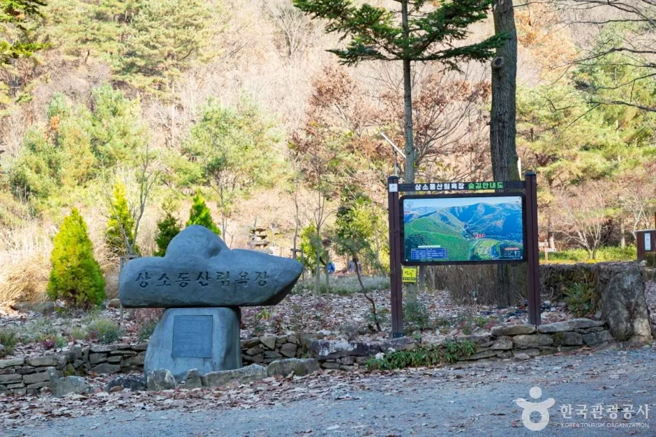 상소동 산림욕장 (7)