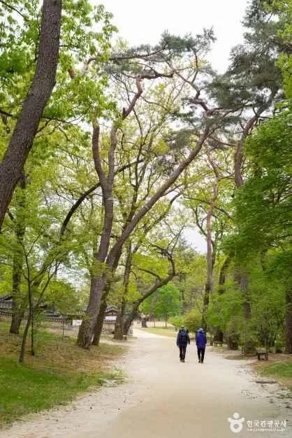여주_여주 영릉과 영릉 (7)