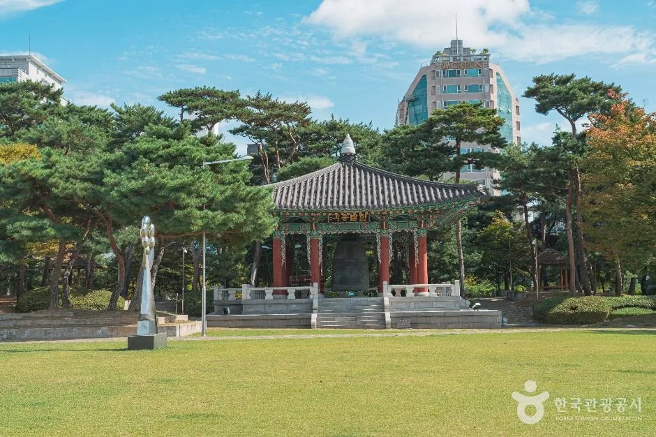 대전_대전시청광장 (2)