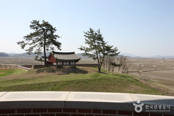 전남_영암군_마한문화공원 (4).jpg