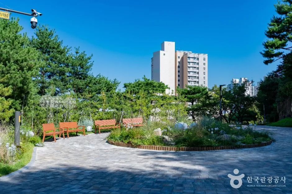 용인_용인중앙공원 (2)